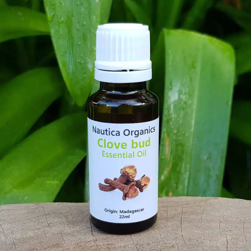 Clove Bud Oil 22ml