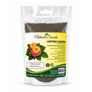 Lantana Camara (Verbena) 50Gr