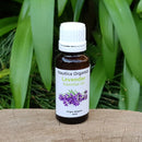 Lavender Essential Oil 22ml