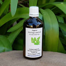 Organic Moringa Oil 100ml