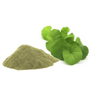 Brahmi Powder (Bacopa)