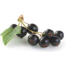 Jamun Powder (Syzygium Cumini)