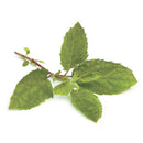 Tulasi Powder (Holy Basil)